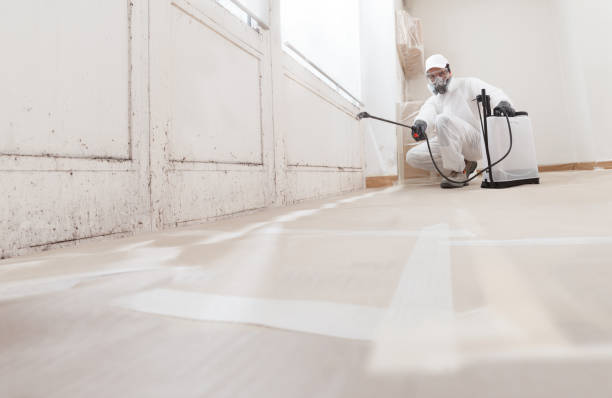24/7 Emergency Mold Remediation experts in Queen, PA